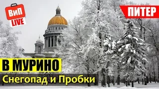 Пробки в Питере | Кудрово и Мурино это гетто? авария, Питер не готов к снегу, критика