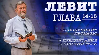 Книга ЛЕВИТ | Глава 14-15