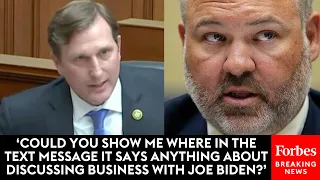 Dan Goldman Grills IRS Whistleblowers About Hunter Biden Text Message To Chinese Businessman