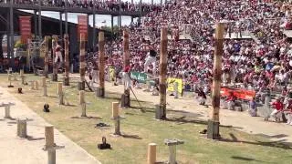 World Tree Felling Championship Final