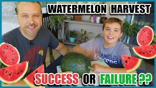 Watermelon Harvest // Success or Failure?