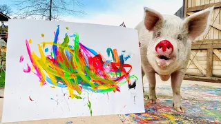 Pig saved from slaughterhouse becomes world famous painter