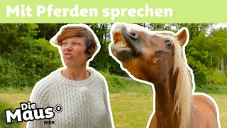 Wie kann man mit Pferden kommunizieren? | DieMaus | WDR