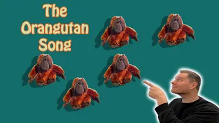 The Orangutan Song | English Counting Song | Sing-a-long song for English | Cute Orangutans jumping