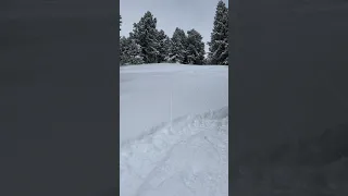 Jack Skiing - Low Elevation Powder is Nearly as Good as Sleeper Pow - Jackson Hole