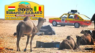 Budapest-Bamako 2022 - Renault 20. 1982 Dakar winner. Can she make it to the finish line?