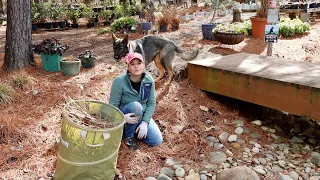 Shade Garden Tour & Pruning: Tips for Success | Gardening with Creekside