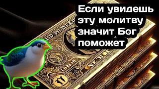 🔑Богатство СВАЛИТСЯ С НЕБЕС В ТВОЮ жизнь! Такое бывает 3 раз в 100 лет - СЧАСТЬЕ придёт в жизнь🔑