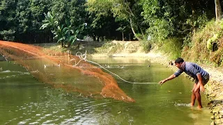 Net Fishing | Catching Fish With Cast Net | Net Fishing in the village (Part-138)