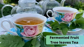 How to make Fermented Tea from Fruit Tree leaves