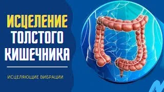 Мощное исцеление толстого кишечника через меридиан🎧