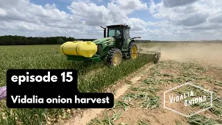 Episode 15: Vidalia onion harvest