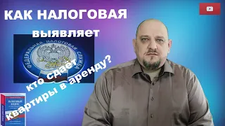 Как налоговая выявляет аренду