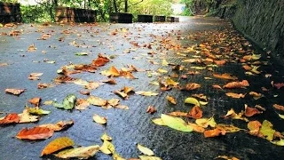 ❤♫ Giovanni Marradi - Autumn Rain 秋雨