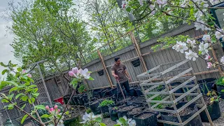 Building a 24 foot long trellis in the garden