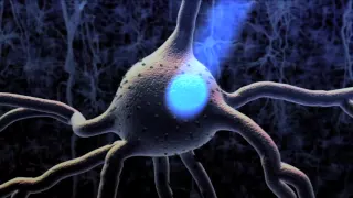 Optogenetics Controlling the brain with light