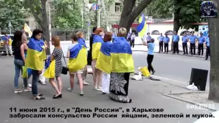 Сорванные флаги Украины (полное видео акции,  от 02.10.15г., на Арбате)