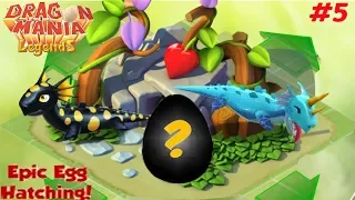 Epic Egg Hatching! Salamander dragon + Water Dragon | Dragon Mania Legends #5