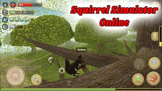 Squirrel Simulator Online (Android & IOS Games). Gameplay & Walkthrough - Part 1 | MGC VIP