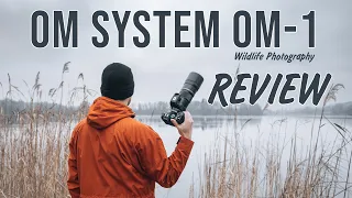 OM SYSTEM OM-1 Review for Wildlife Photography