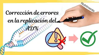 CORRECCIÓN de ERRORES en la REPLICACIÓN del ADN