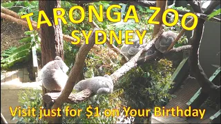 A day in Taronga Zoo | Must see in Sydney #sydneyaustralia #sydneyattractions #travelsydney travelsy
