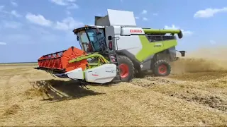 Збирання ячменю 2021 після дощу новим комбайном Claas Lexion 6700