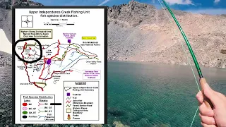 Golden Trout Lakes | Eastern Sierra Back Country Fishing Guide | (Fish + Log) E10