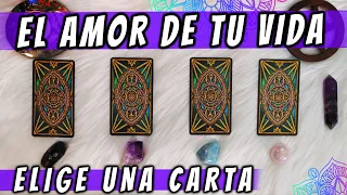 Elige una carta - ¿QUIÉN ES EL AMOR DE TU VIDA? 💘 Tarot Interactivo 🔮✨