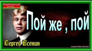 Пой же пой ,  Сергей Есенин,  Русская Поэзия,  читает Павел Беседин