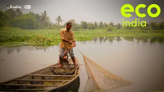 Eco India: The East Kolkata Wetlands face an existential threat from property developers