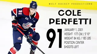 The Best Of Cole Perfetti | Hockey Highlights | HD