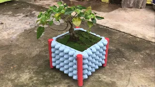 Amazing  Ideas From Egg Tray at Home    Simple Way To Have Flower Pot Pretty For Your Garden