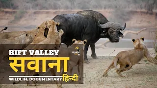 Rift Valley, Savannah [2024] हिन्दी डॉक्यूमेंट्री | Wildlife documentary in Hindi