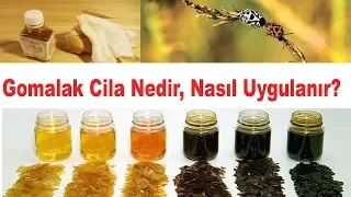 Gomalak Cila Nedir? Gomalak Cila Nasıl Uygulanır? (Alt yazılı izleyin)