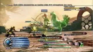 FF13-2 Caius Ballad Oerba 200AF ParadoxScope [Normal]