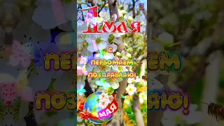 С первым мая!🕊️🎈🎈🎈🕊️ Мира и добра!🥰🥰🥰