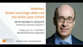 Kenneth Rogoff on global sovereign debt and the dollar post-COVID