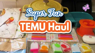 Super Fun TEMU Haul!  Kitchen Items and More! March 2024