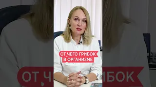 Почему растет грибок кандида в организме человека 📌