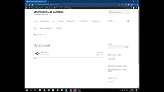 ERC20 Token Fiat Balance Shortcode Demo - WordPress Ethereum Wallet Plugin