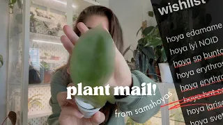 I Finally Checked This Plant off My Wishlist After 3 YEARS! Unboxing Plant Mail from SamsHoyas 💌🌱