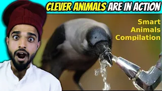 Villagers React To Funny Clever Animals Compilation ! Tribal People React To Intelligent Animals