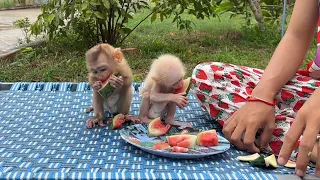 [Eating Contest] BAby Yuri & Minea Take Extremely Big Bite Eating Challenge Each Other