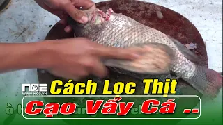 Cách Lọc Thịt , Cạo Vẩy Cá Rô Phi Siêu Nhanh Trong một nốt nhạc