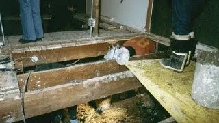 JOHN WAYNE GACY CRAWL SPACE PICS (JUST RELEASED BY POLICE) AND A FEW OTHERS
