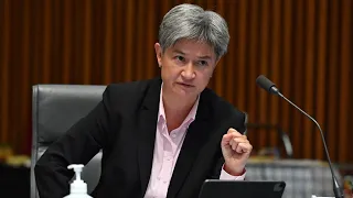 Penny Wong exposing ‘obvious’ anti-Semitism of the left