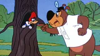 This Tree is Off-Limits! | 2.5 HRS of Classic Episodes of Woody Woodpecker