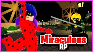 FAIRE DU RP AVEC LE CHAT NOIR ET LADYBUG