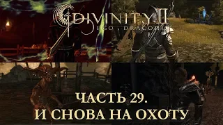 DIVINITY 2 КРОВЬ ДРАКОНОВ// ПЕРЕПРОХОЖДЕНИЕ// И СНОВА НА ОХОТУ